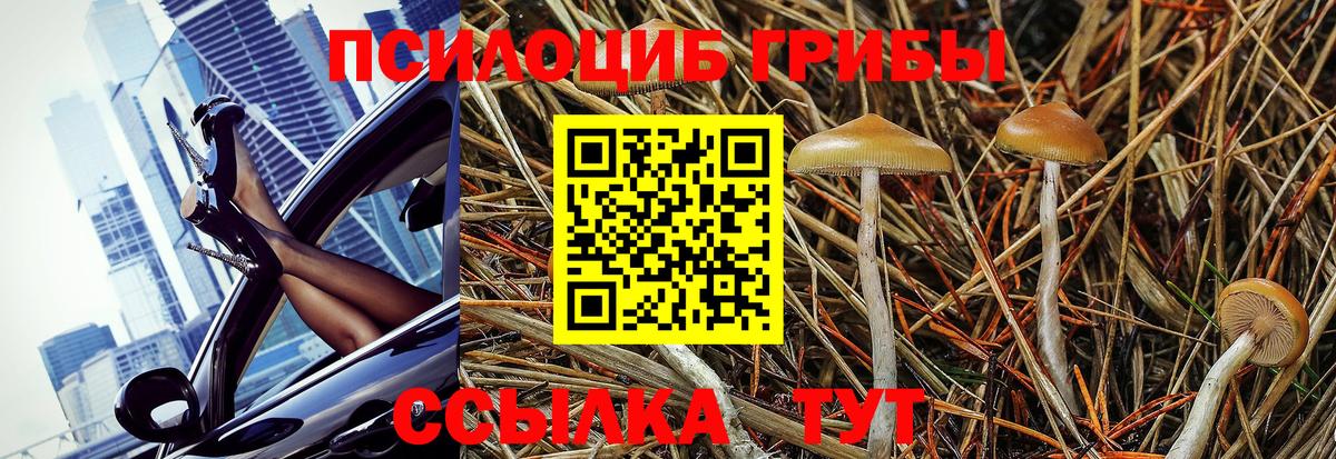 Галлюциногенные грибы Magic Shrooms Раменское