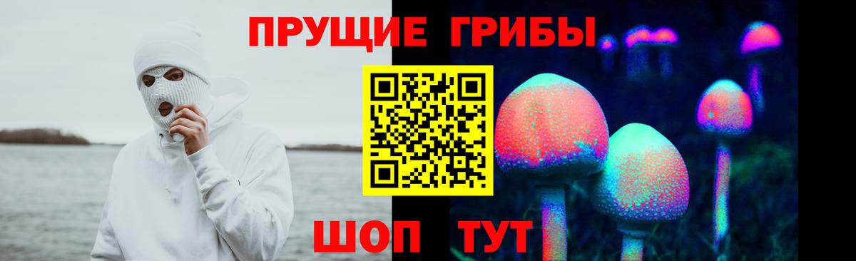 Раменское  Галлюциногенные грибы ЛСД  где купить наркоту  Вход с VPN  Псилоцибиновые грибы мицелий 